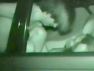 Japanese Fucking in the Car with a Tokyo View